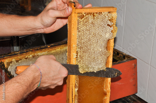 preparare telaio estrazione miele 2