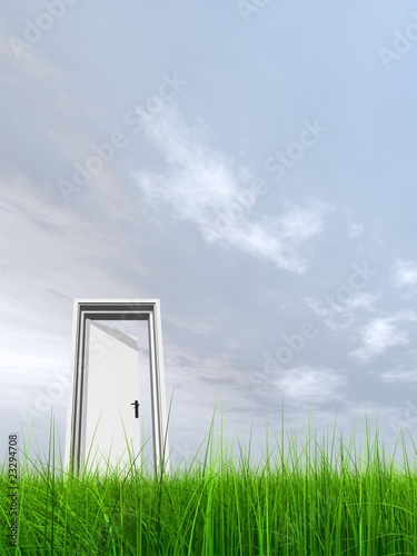 High resolution 3D white door opened in grass to the sky