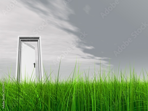 High resolution 3D white door opened in grass to the sky