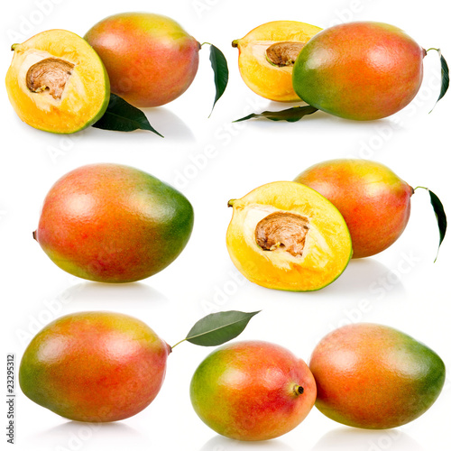 Collection of ripe mango fruits with leaves