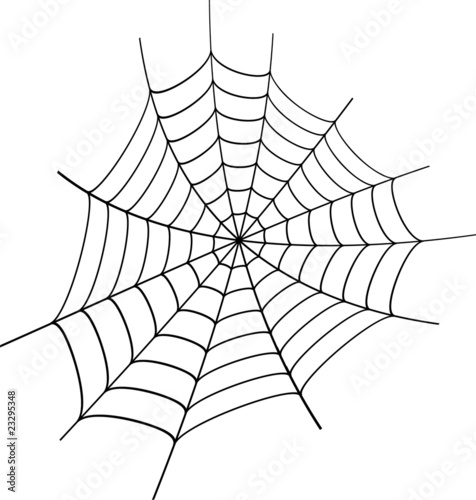 Spinne Netz Spinnennetz