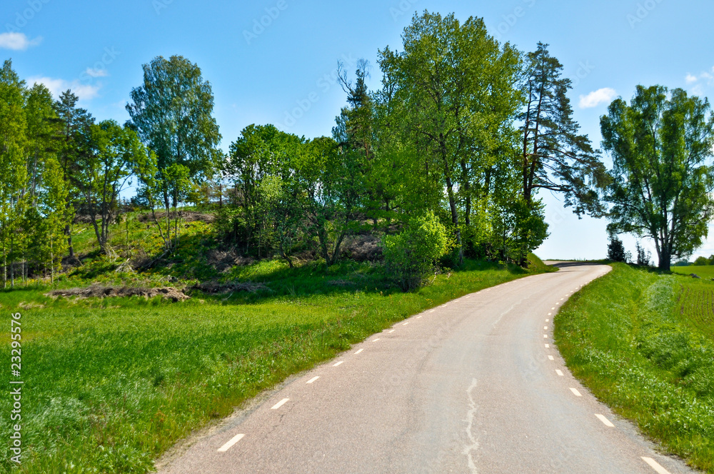 Schwedische Landstraße