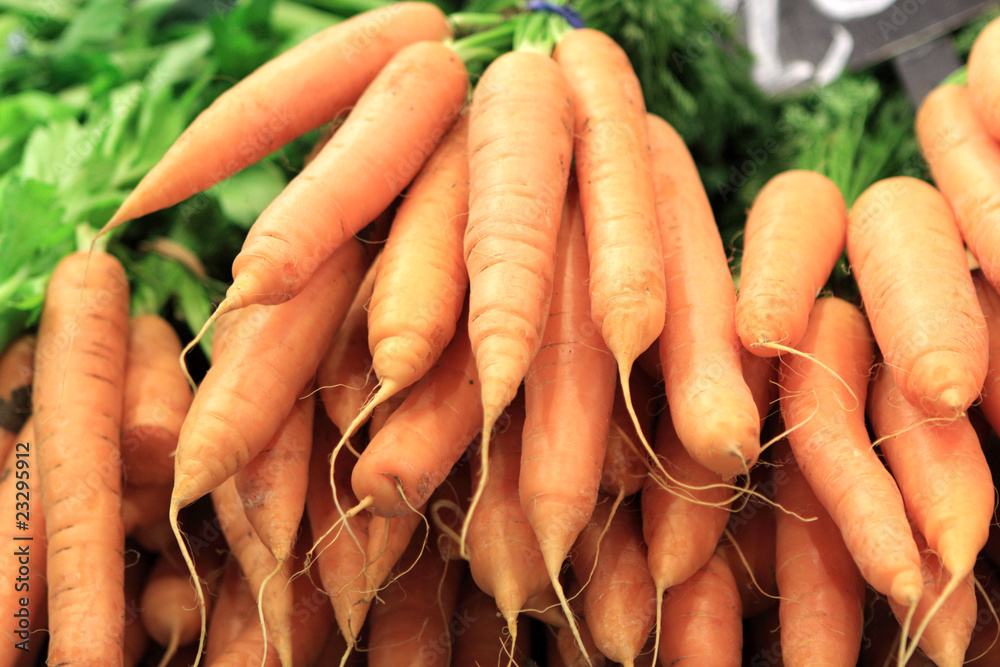 Carrots at market Carrots at market