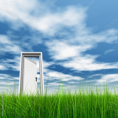 High resolution 3D white door opened in grass to the sky