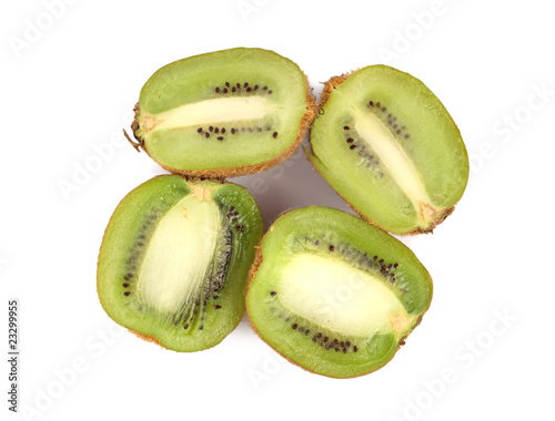 Kiwi isolated