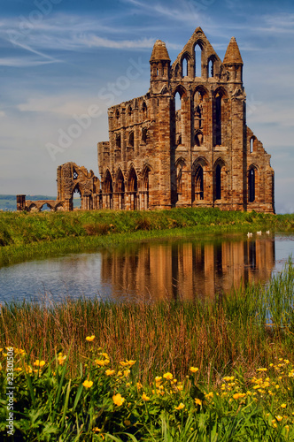 View of Whitby Abbey beyond the pond