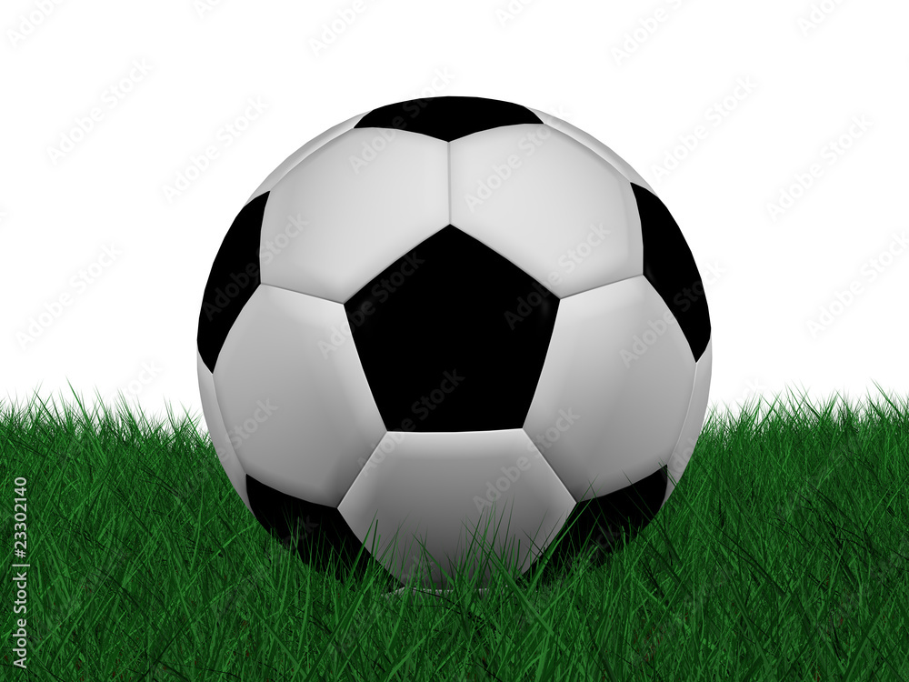 soccer ball on grass