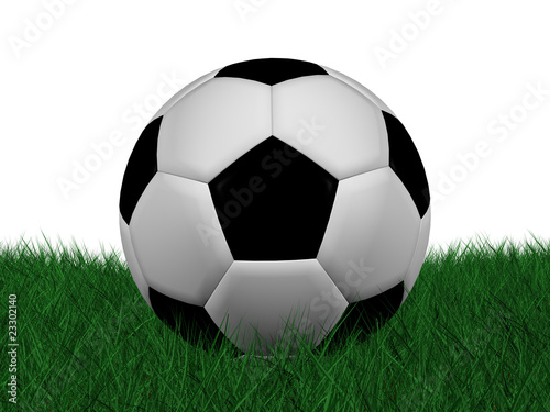 soccer ball on grass © marinini