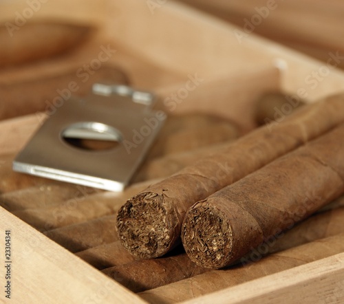 Cigars and cutter in open humidor