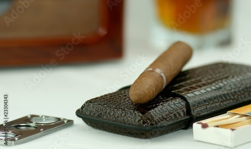 Canvastavla Cigar