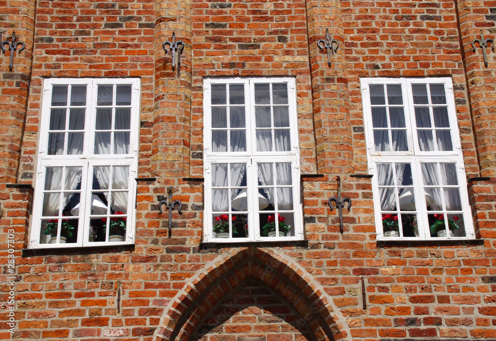 Fototapeta premium haus #3