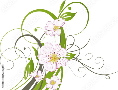 Wildrose, Rosen, florale Ranke, Blumen, filigran