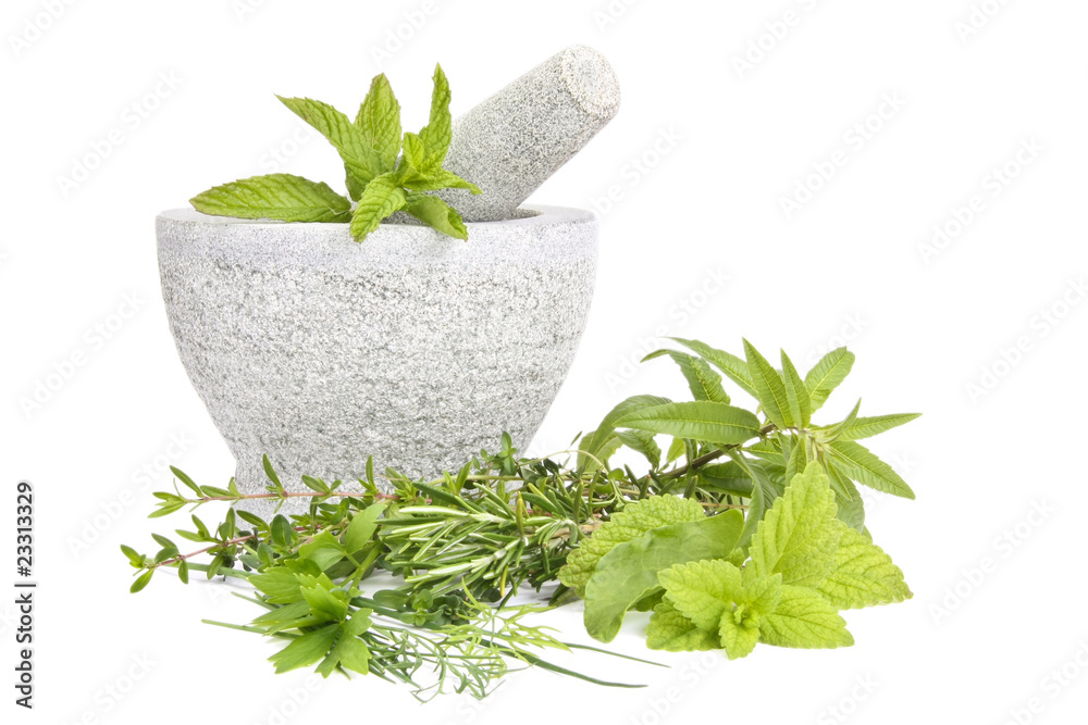 Mortar with mint and other herbs - obrazy, fototapety, plakaty 