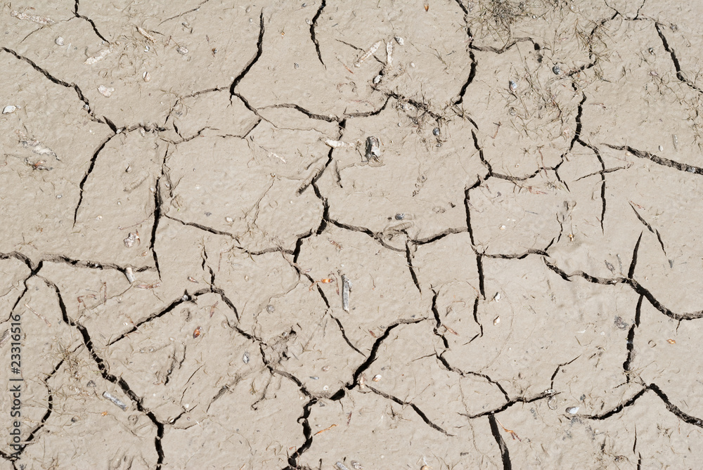 Obraz premium siccità