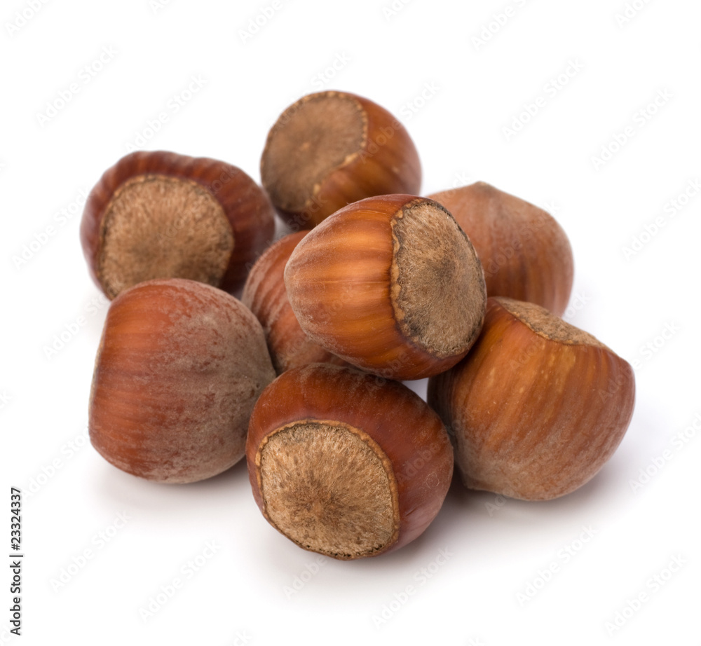 hazelnuts hazelnuts
