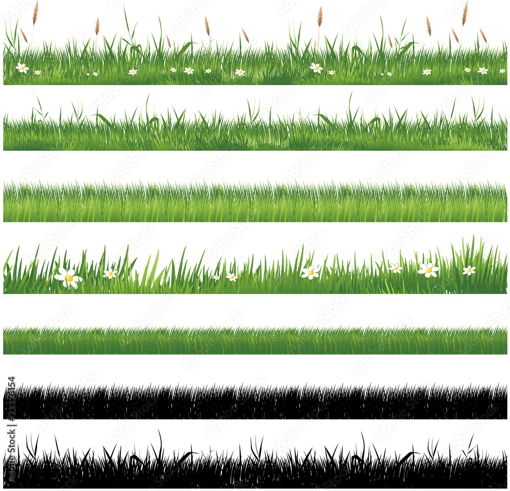 Obraz premium Kolekcja zielonej trawy