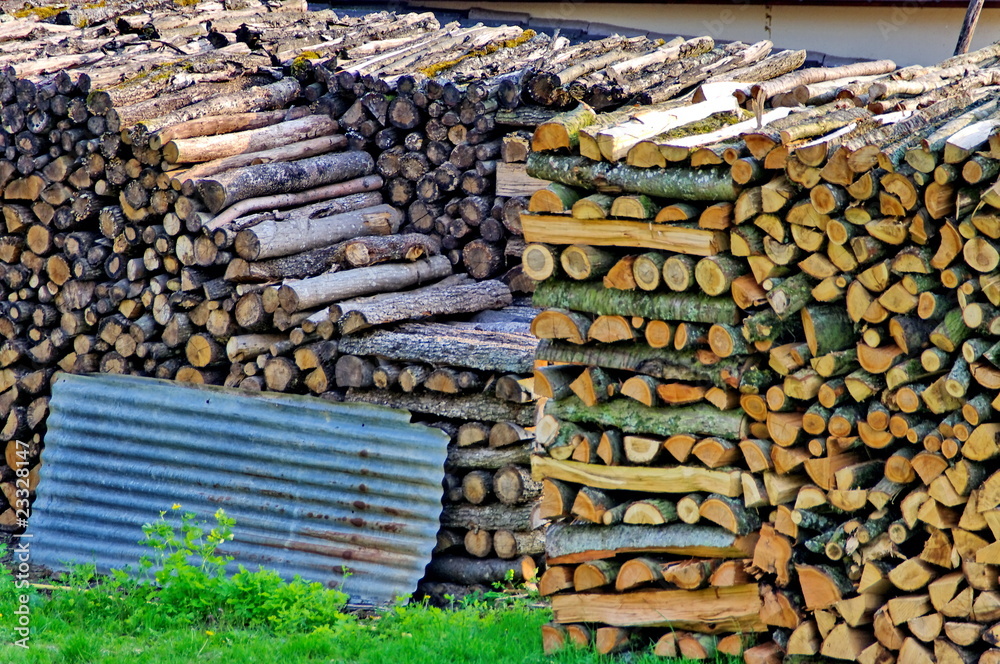 Buches de bois dans un pré. Buches de bois dans un pré.
