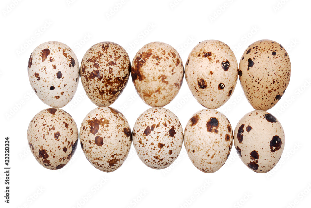 Obraz premium Photo of the quail egg