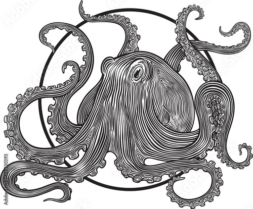 octopus