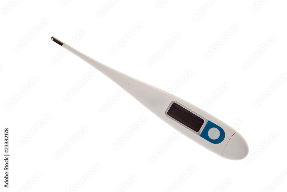 Electronic thermometer