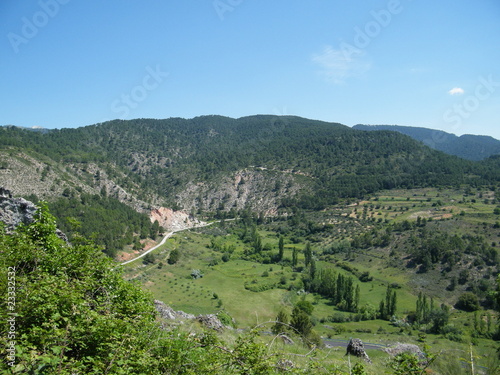 bosque en riopar en albacete photo