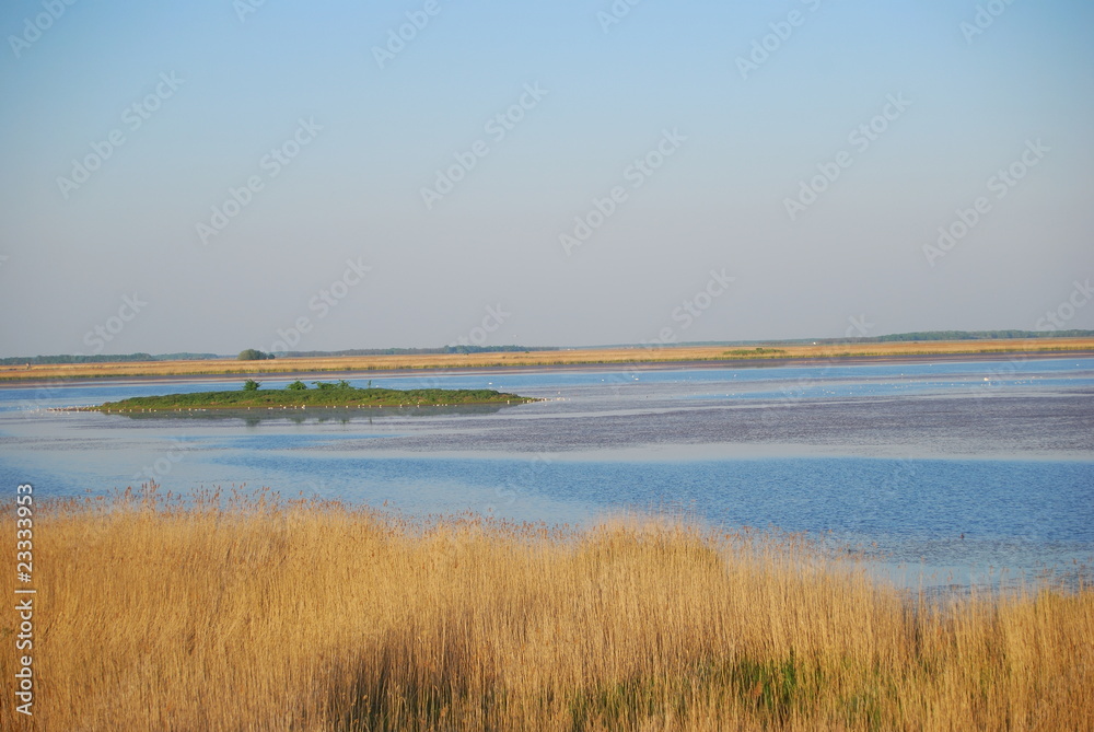 Lake, Hortobagy National Park, Hungary Lake, Hortobagy National Park, Hungary