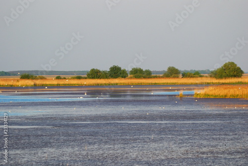 Lake, Hortobagy National Park, Hungary