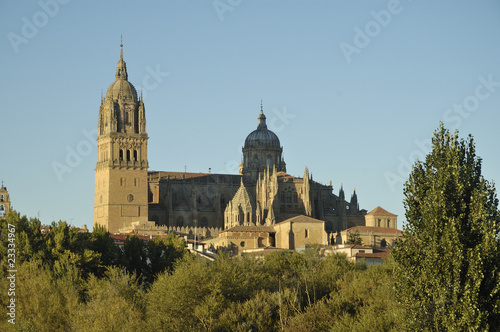 Catredral de Salamanca