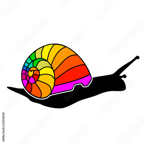 Farb-Schnecke