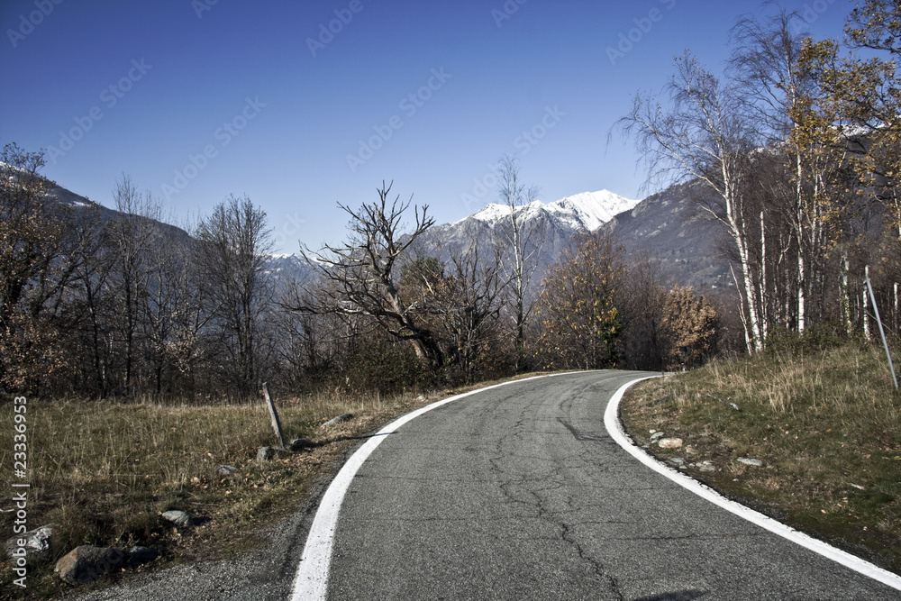 Fototapeta premium Curva