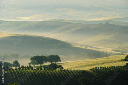 Toskana Huegel - Tuscany hills 08