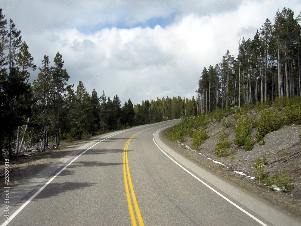 Naklejka premium kurve