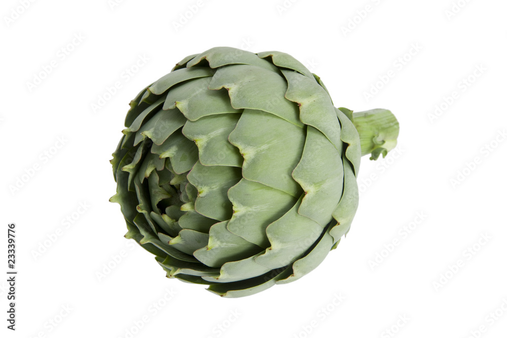 Obraz premium Artischocke