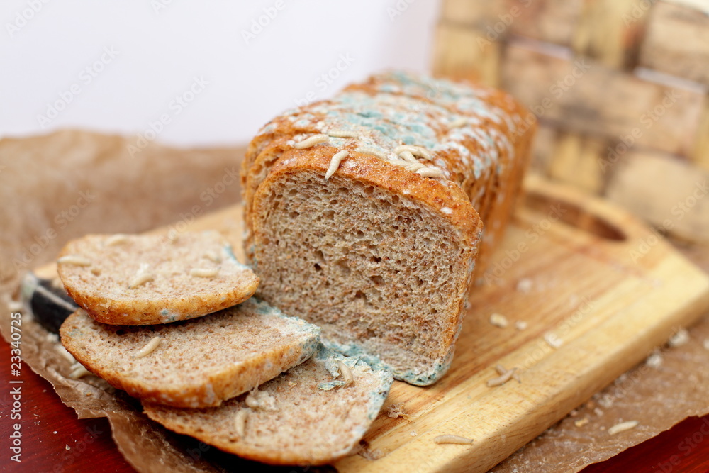 Loaf of bread, dirt, germs, mess and worms Loaf of bread, dirt, germs, mess and worms