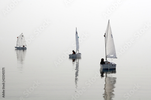 Optimist class yacht sailing