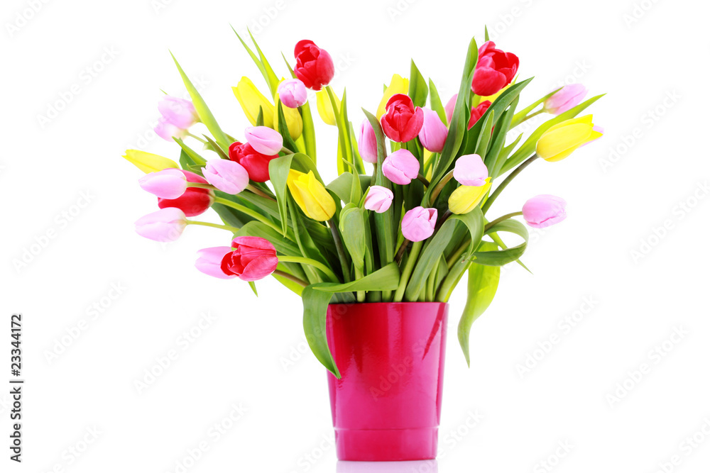 custom made wallpaper toronto digitalbunch of tulips