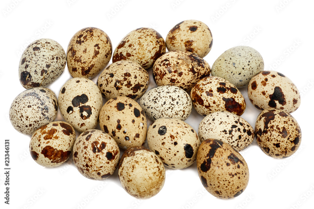 Quail eggs