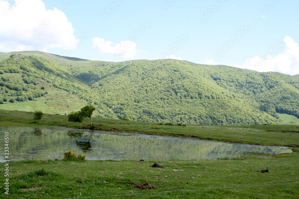 Lac : monts du Cantal