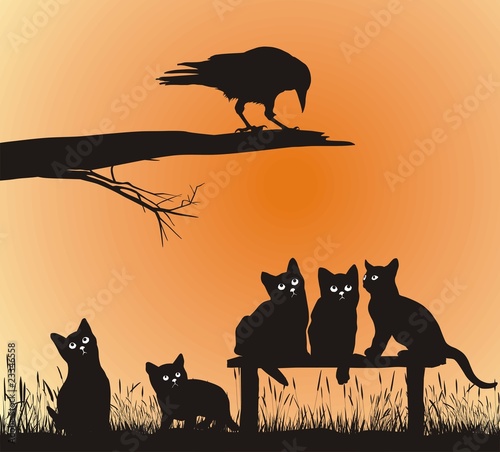 Crow and kitten