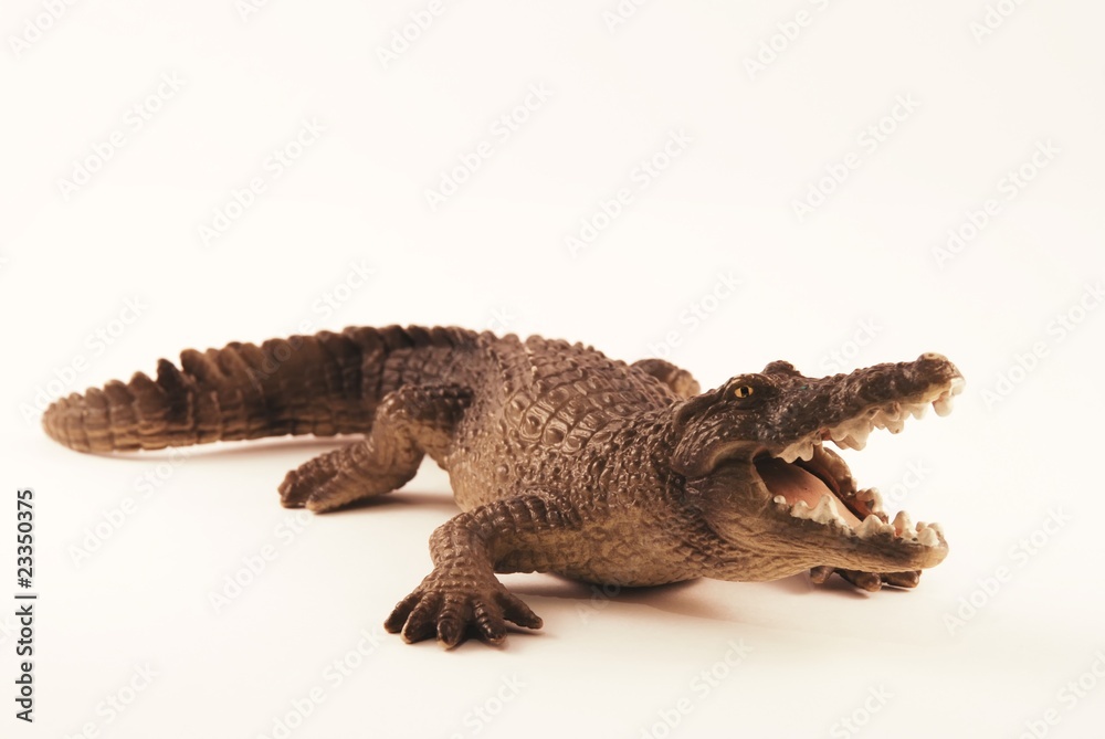 Naklejka premium Crocodile