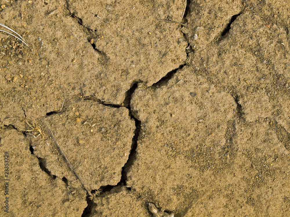Fototapeta premium Parched and Cracked Dry Ground in Full Sunlight