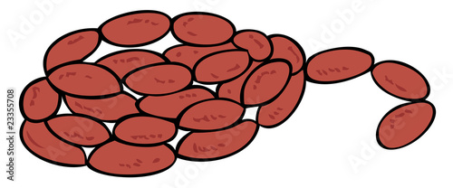 Sausage.