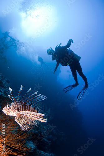 scuba diver and lionfish