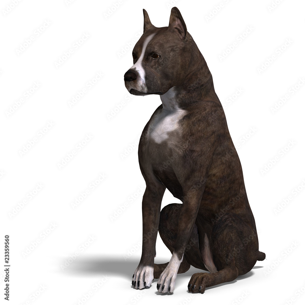 American Staffordshire Terrier Dog. 3D rendering with clipping p