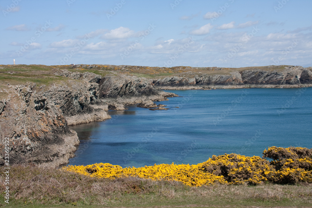 Obraz premium Anglesey coastline