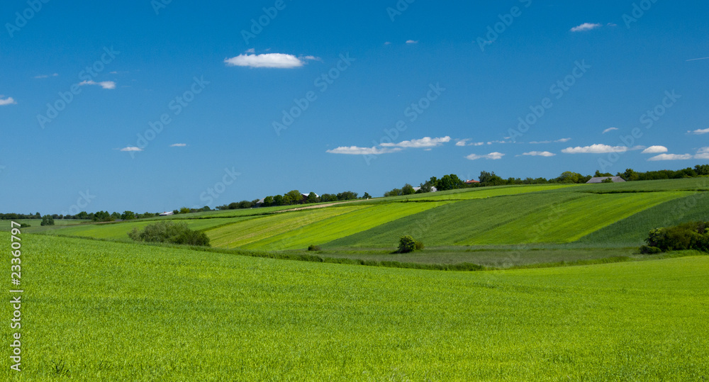 fields