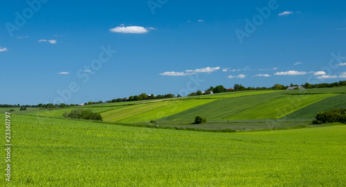 Obraz na płótnie fields w salonie