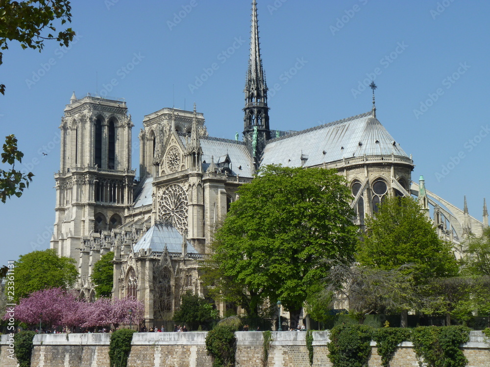 Obraz premium notre dame de paris