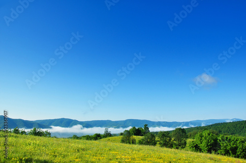 Summer landscape © carpathian