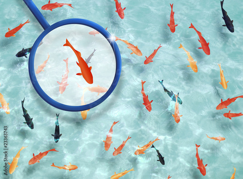 金魚すくい Stock イラスト Adobe Stock 金魚すくい Stock イラスト Adobe Stock
